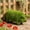 Green, variant on NWOKYZGH Spring Cute Garden pig Decor Statue Ideal Gift for Outdoor Yard Art Patio Styling and Home Garden Displays