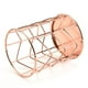 thumbnail image 5 of Alambre Metal Maquillaje Pincel Pote Portalápices Hueco Organizador Decoración ANGGREK ED1009, 5 of 8