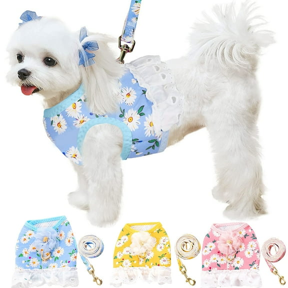Floral Small Dog Harness Leash Set Dress for Girl, Cute Daisy Breathable Puppy Mesh Harness for Female Small Medium Dogs Cats