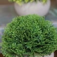 thumbnail image 4 of Bola de césped artificial en maceta, simulación de hierba, decoración de plantas, decoración de la mesa de la oficina en casa, hierba tipo 3, verde Advancent HA7593-06B, 4 of 6