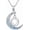 NA-Silver-1, variant on Sobriety Gift 925 Sterling Silver Alcoholics Anonymous Necklace AA Recovery Symbol Sobriety Alcoholics Anonymous Gifts for Women Men