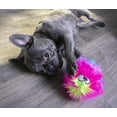 thumbnail image 7 of goDog Furballz Squeaky Plush Ball Dog Toy, Chew Guard Technology - Rainbow, Small, 7 of 7