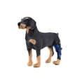 thumbnail image 4 of Karlsitek Dog Pet Knee Support Leg Operation Recovery Protector Straps Hock Brace Rear Joint Therapeutic Belt Wrap, 4 of 5