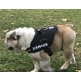 thumbnail image 2 of Pechera K9 Bulldog Reflectante Reforzada Acojinada, 2 of 8