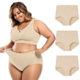 thumbnail image 3 of Womens Underwear 3 Pack High Waist Cotton Regular Plus Size Brief Underwear, 3 of 3
