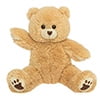 avon talking teddy bear instructions