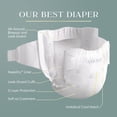 thumbnail image 2 of Pañales Pampers Amore, talla 2 (5-10 kg), 74 unidades, hipoalergénicos, 2 of 9