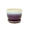 Pennington Ceramic 5.75" Pot, Purple Ombre