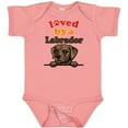 thumbnail image 3 of Inktastic Labrador Retriever Dog Gift Boys or Girls Baby Bodysuit, 3 of 5