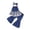 Blue, variant on Toddler Girls Clothes Two Piece Outfits Sleeveless Lace Tank Top with Flared Pants Fashion Clothing Sets Size 18-24 Months