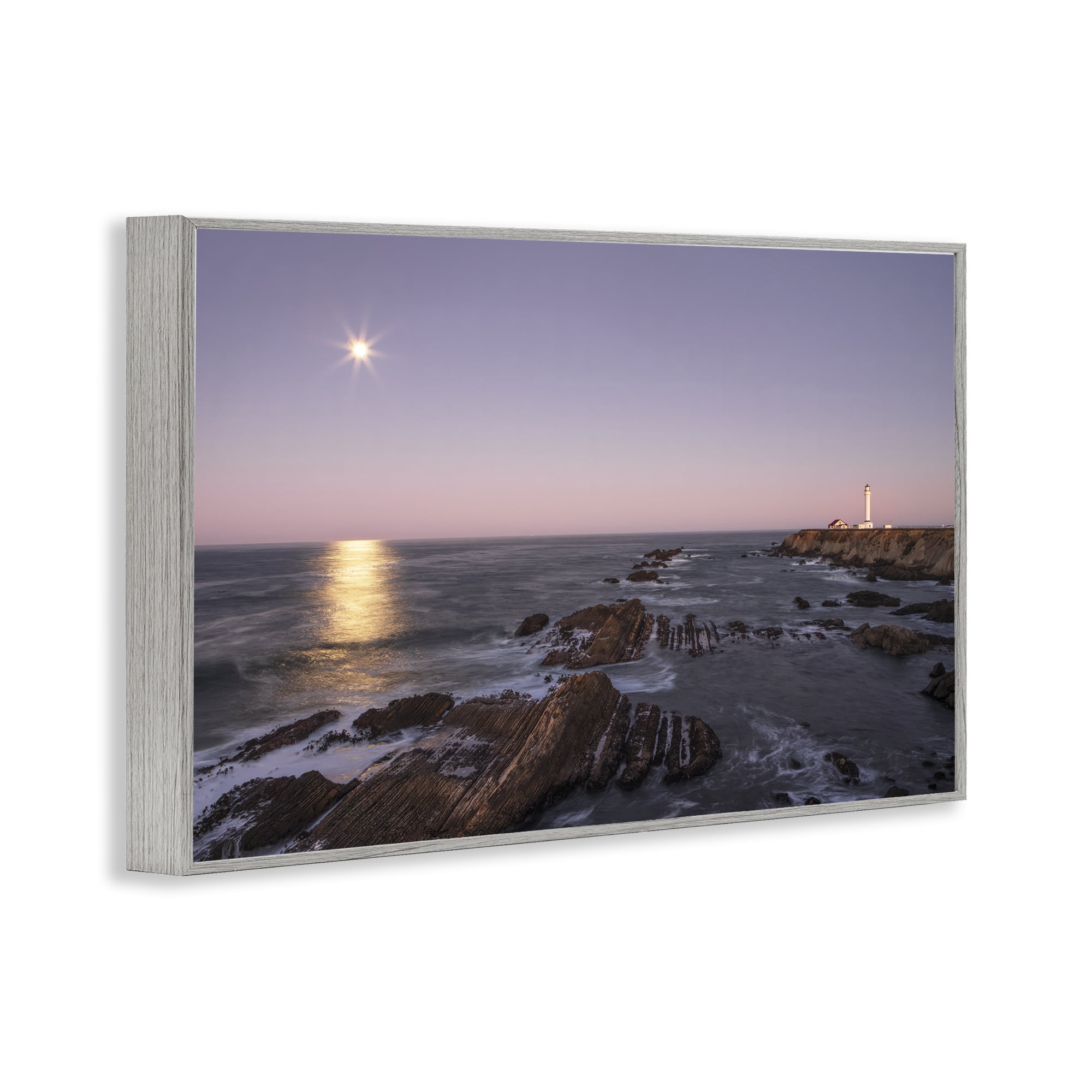 Stupell Industries Moon Arena Coastline Gray Framed Giclee Art, design by Shelley Carlisle
