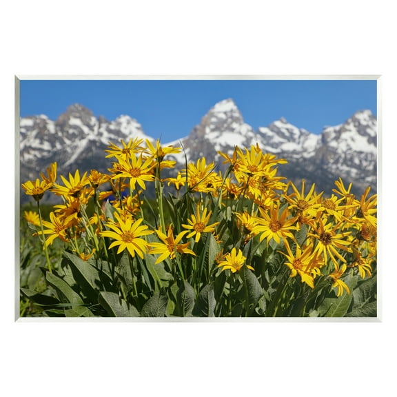 Stupell Industries Daisy Meadow & Mountains Landscape Photography Unframed Art Print Wall Art, 15 x 10