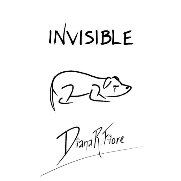 Invisible, (Paperback)