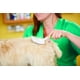 thumbnail image 4 of Cepillo Slicker Firme Mediano Andis para Mascotas, 4 of 4