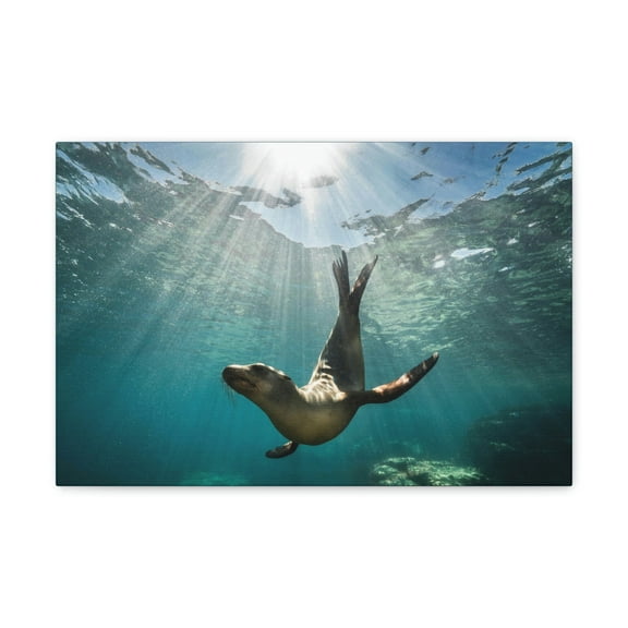 Seal Hunting Seal on Hunt Print Animal Wall Art Wildlife Canvas Prints Wall Art Ready to Hang Unframed