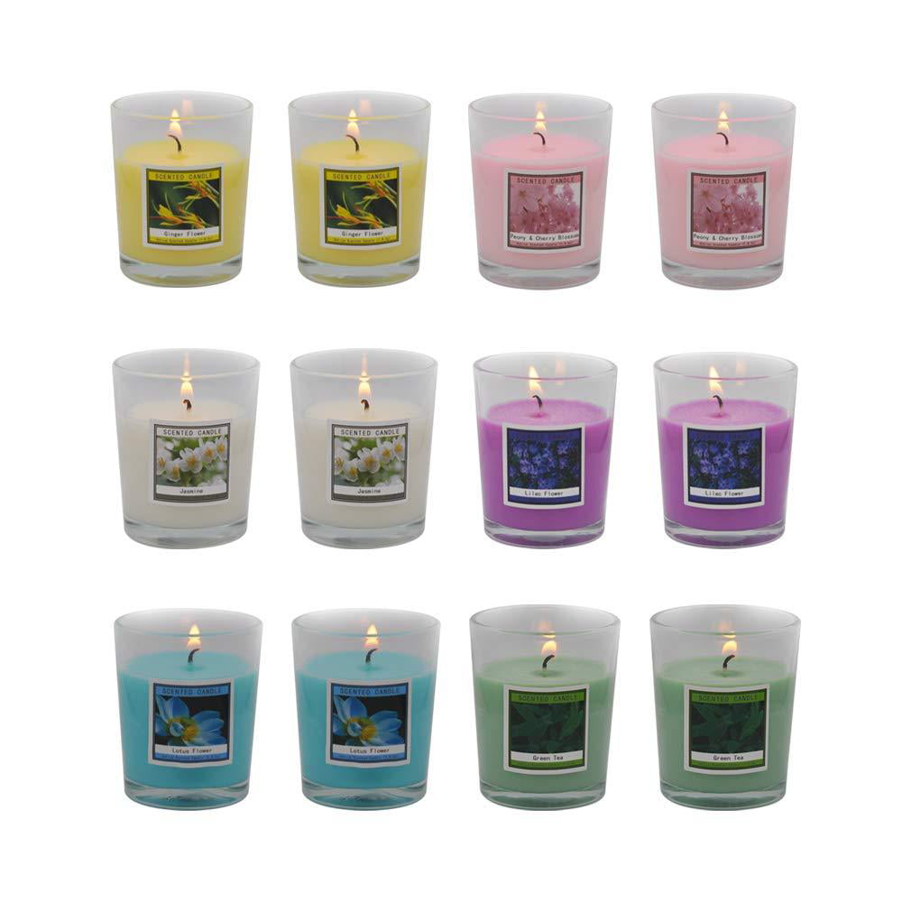 Jasmine and Spring Lavender Lemon Vanilla Arosky 12 Pack Scented Votive Candles Set Small Soy Wax Candles Bulk with 6 Fragrances Rose 