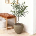 thumbnail image 4 of LuxenHome Weathered Earthstone Green Round Planter, 12.4" Round, Textured Concrete Pot, 4 of 8
