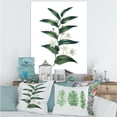 thumbnail image 2 of Designart ' Little White Flowers With Ancient Plant ' Farmhouse Canvas Wall Art Print, 2 of 4