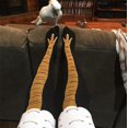 thumbnail image 2 of Chaussettes Hautes Imprimé Poulet 3d Hiver/automne, 2 of 4