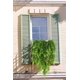 thumbnail image 3 of Plantas artificiales colgantes, helecho de Boston artificial, planta colgante falsa, enredaderas de hiedra de plástico para pared, hogar, habitación, jardín, boda, guirnalda, decoración, 3 of 5