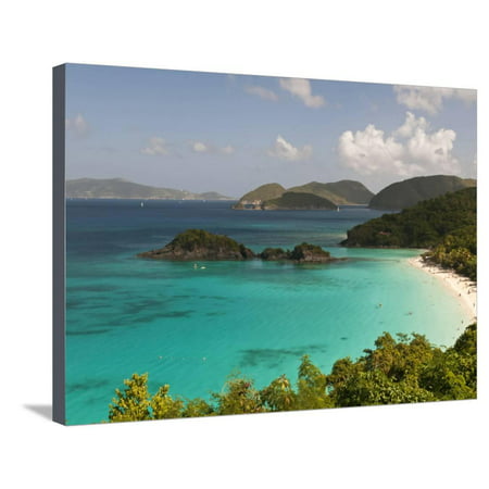 Underwater Snorkeling Trail, St John, United States Virgin Islands, USA, US Virgin Islands Stretched Canvas Print Wall Art By Trish