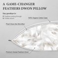 thumbnail image 3 of Almohada DWR Feather Down, paquete de 2 unidades, de algodón orgánico tamaño king, 3 of 7