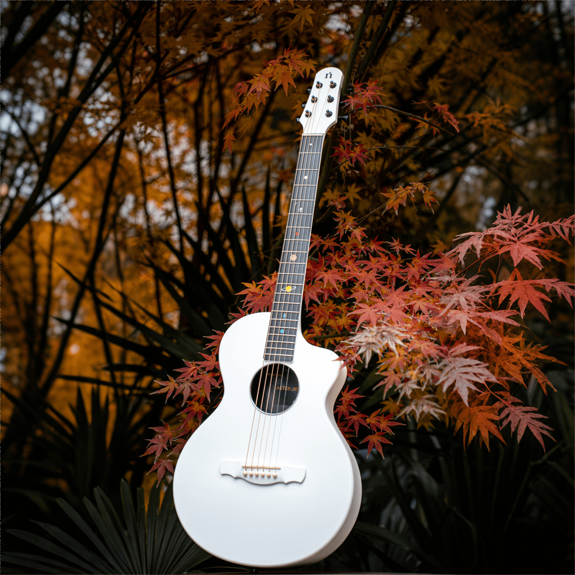 Natasha Solar System Asteroid Carbon Fiber White 38-inch Folk Guitar. Premium guitar case and fretboard cleaning cloth.