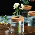 thumbnail image 4 of PENGXIANG Hydroponic Plant Glass Pot Creative Hydroponic Plant Pots for Living Room Office Study Decor, 4 of 8