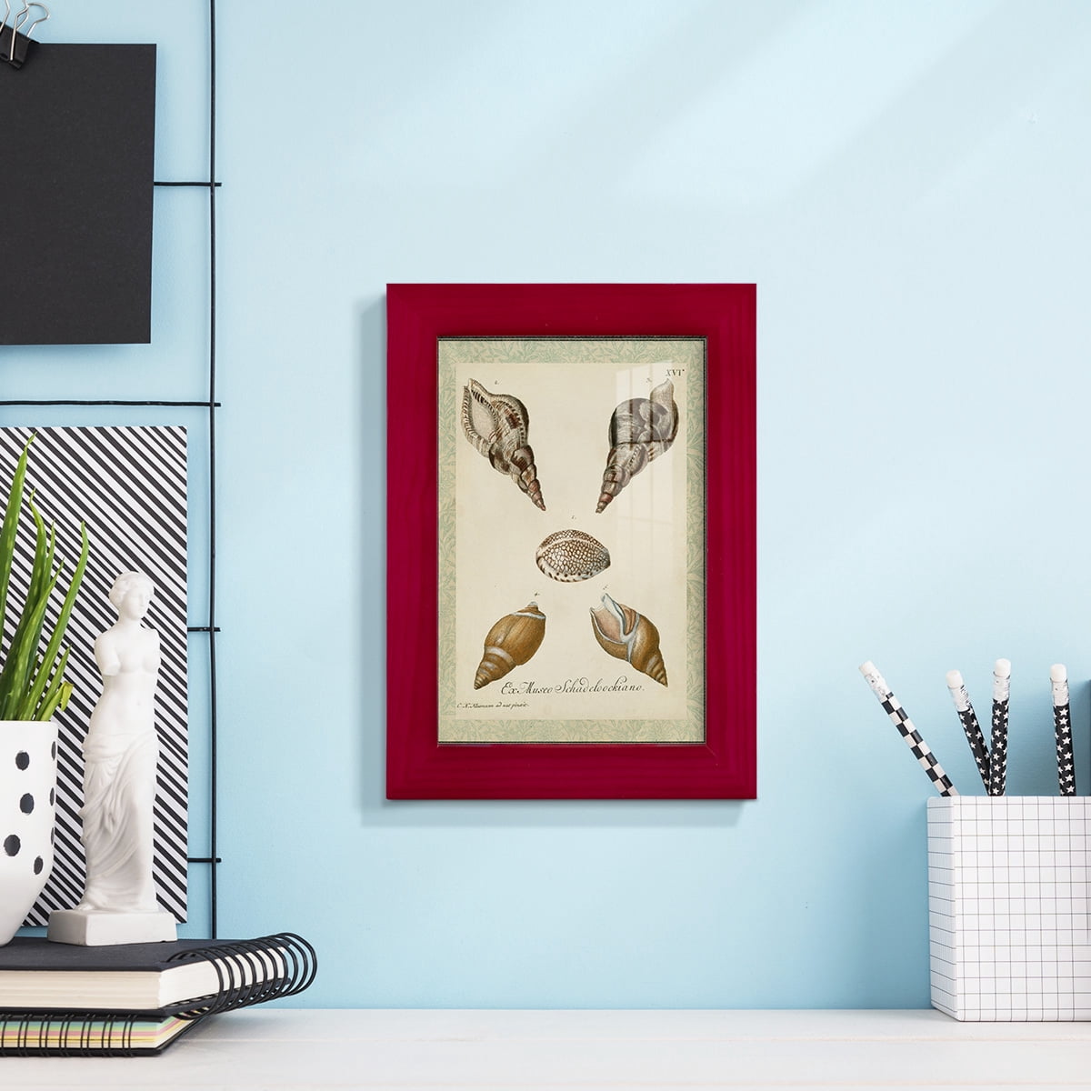 Bookplate Shells VIII - Framed Print w/glass - Cherry Red