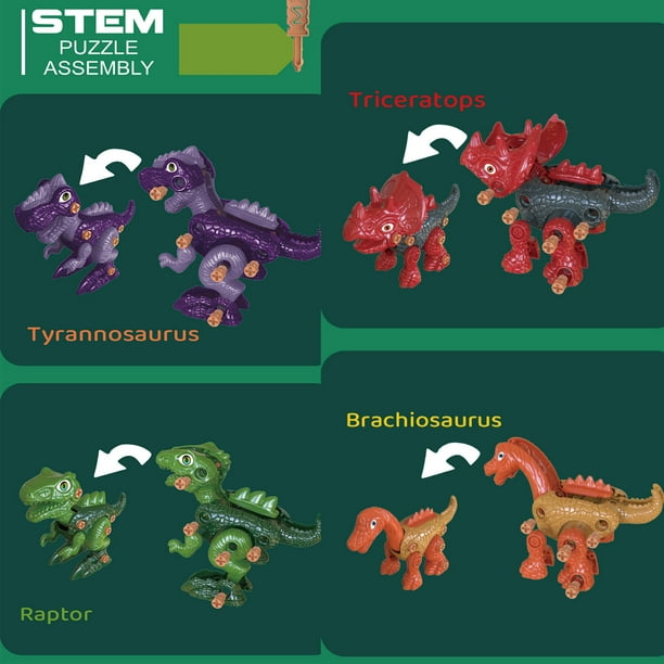 Agiferg Démonter les jouets de dinosaure STEM Learning Building  Construction Engineering 4 dinosaures 1 jouets de tournevis pour les  enfants 