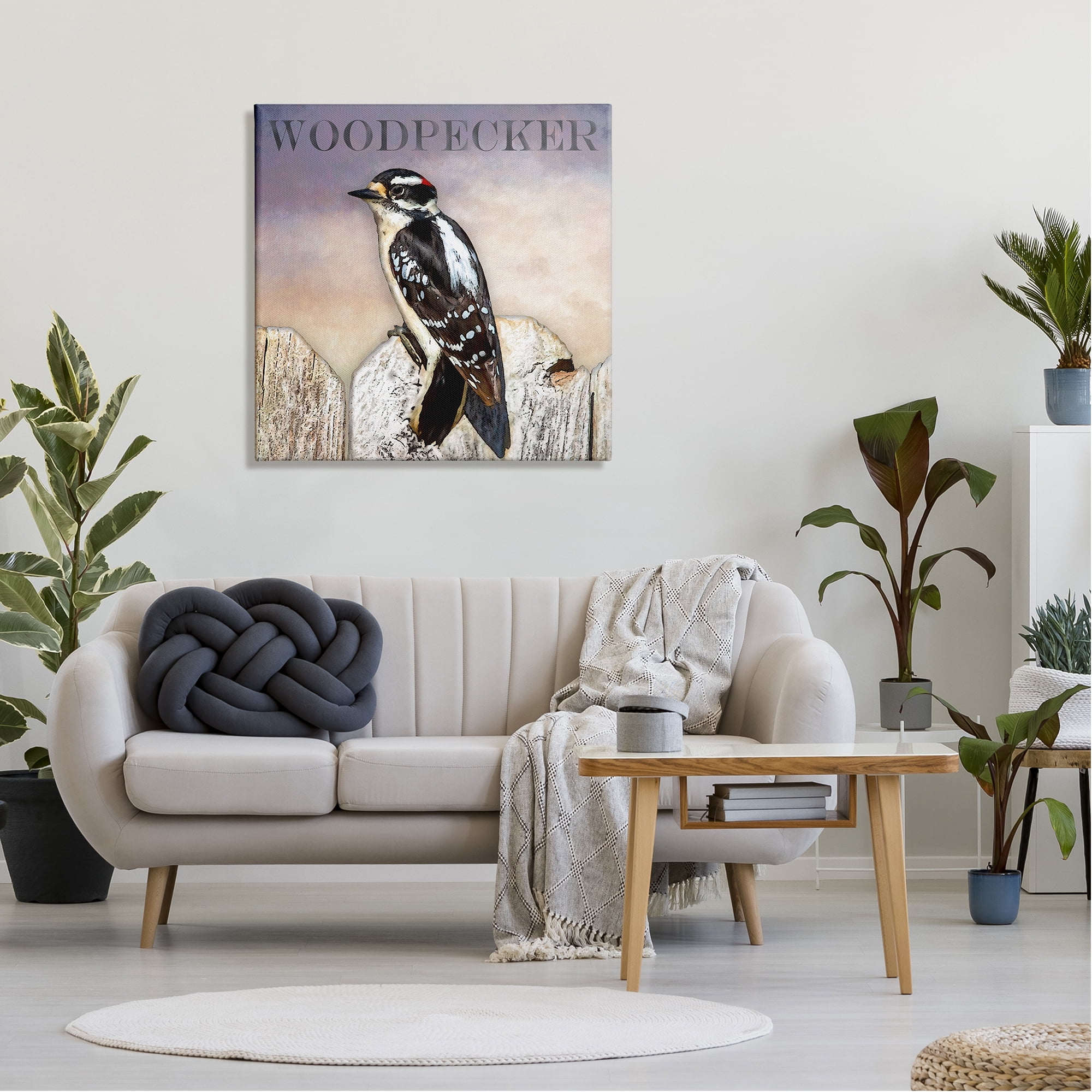Stupell Industries Woodpecker Bird Perched on Fence Breed Typography Design Graphic Art Gallery Wrapped Canvas Print Wall Art, Design by Alpenglow Workshop