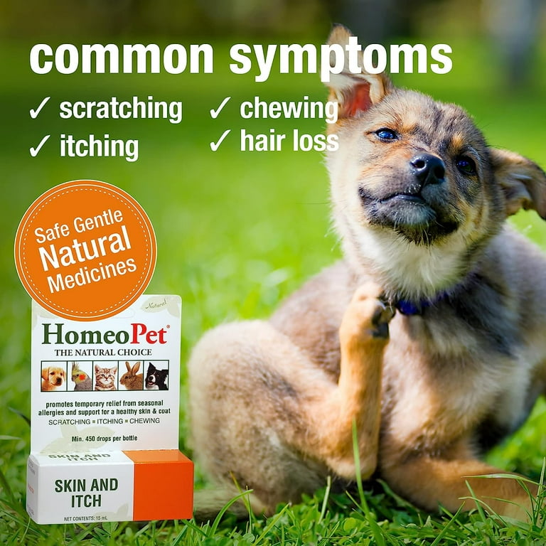 Homeopathic remedies for dog allergies skin hotsell