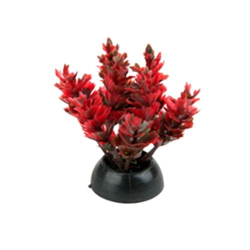 Penn Plax Aqua-Plantes D'Aquarium Décorations