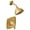 Brushed Gold, variant on Moen Voss Chrome Posi-Temp(R) Shower Only