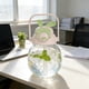 thumbnail image 5 of Botella de agua de gran capacidad de 1000 ml con pajita | Vaso de hidratación portátil para actividades al aire libre como senderismo, acampada y viajes., 5 of 6