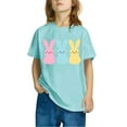 thumbnail image 2 of Jinhomg Cute Summer Tops for Kids Soft Comfort Short Sleeve Cotton T-Shirts Plain Bunny Rabbit Graphic Crew Neck Shirt Casual Daily Wear Winter Saving Mint Green 140, 2 of 5