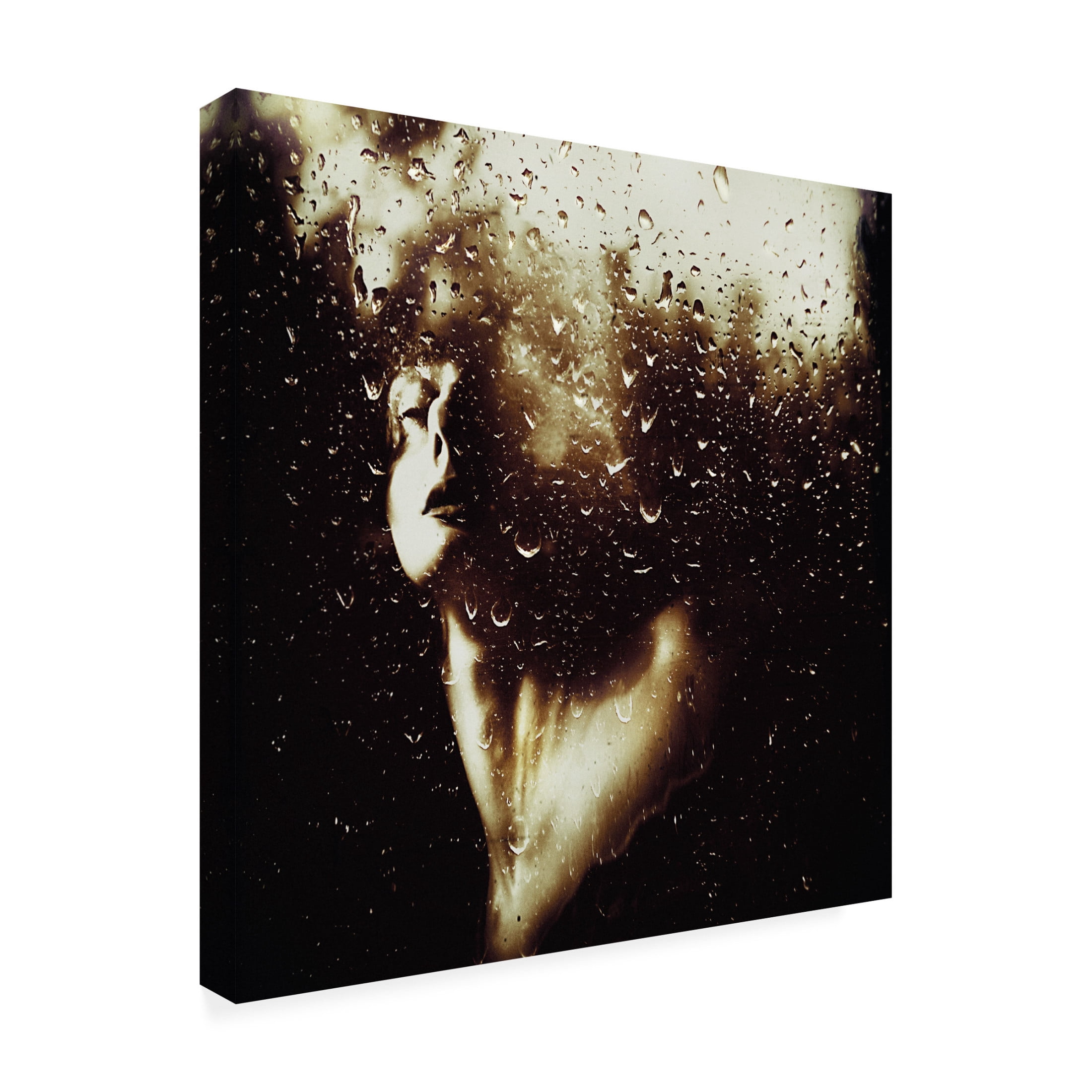 Canvas Wall Art - Inga Ivanova 'Golden Emotion' Wall Art for Living Room, Bedroom, or Office D?cor by Trademark Fine Art - 35 x 35 Inches
