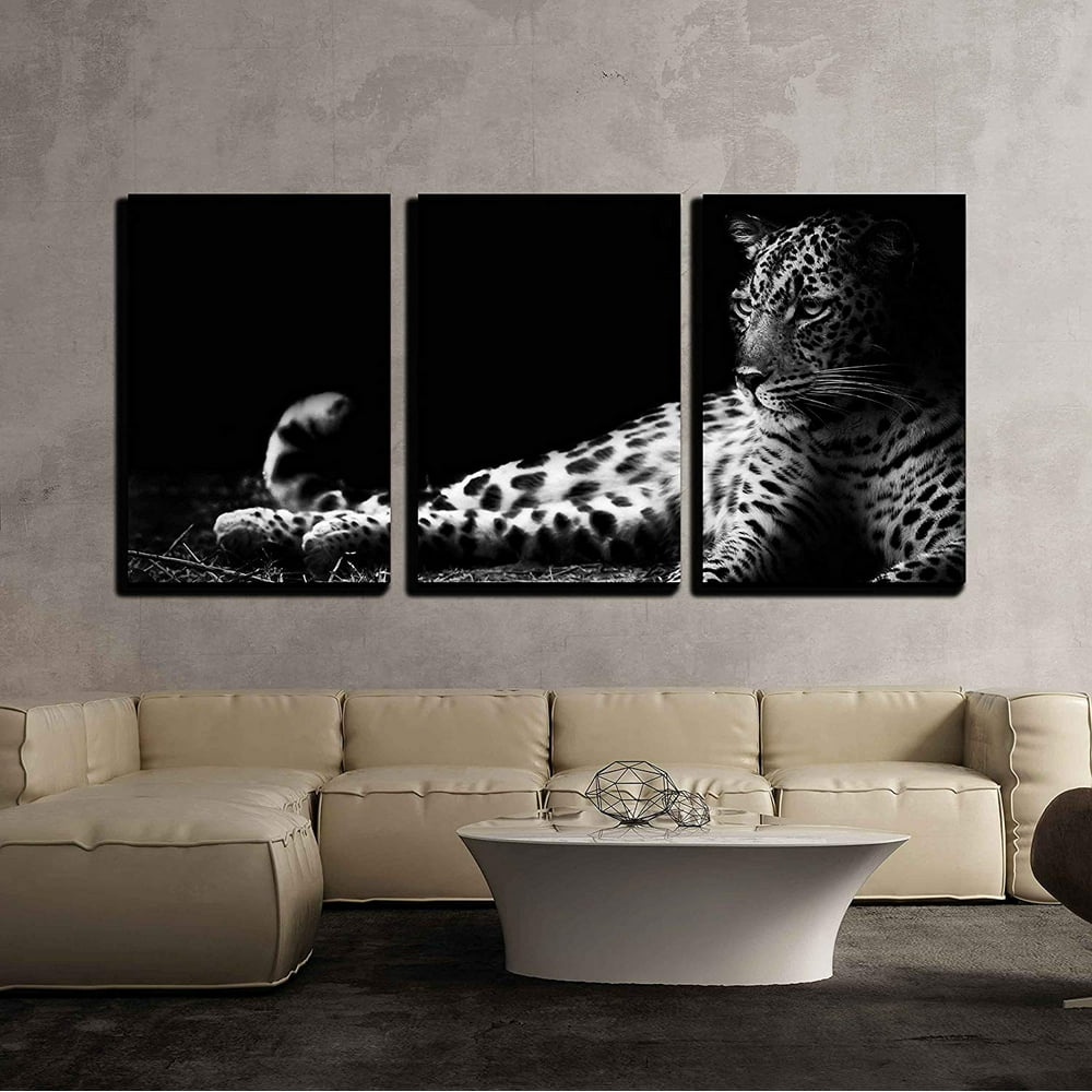 wall26 - 3 Piece Canvas Wall Art - Black and White Image of a Leopard