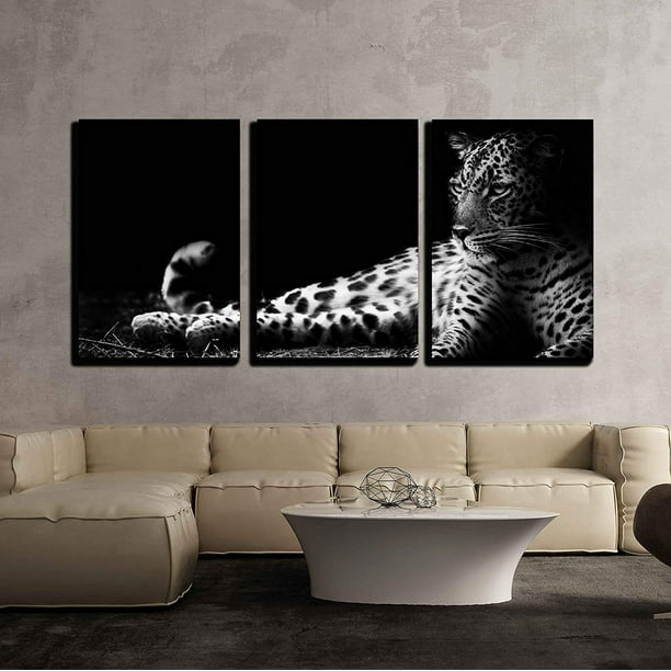 Wall26 3 Piece Canvas Wall Art - Black and White Image of a Leopard ...