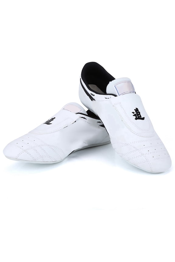 Taekwondo Shoes Sport Boxing Kung Fu TaiChi Lightweight Breathable Athletic Shoes for Men Women and Children with Rubber Sole Size 42 (10.7 inches / 27.3 cm)