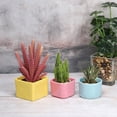 thumbnail image 5 of Unique Bargains 2' Square Plastic Succulent Planter with Drainage Flowerpot Container, Yellow 3 Pack, 5 of 5
