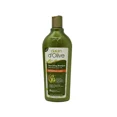 thumbnail image 1 of DALAN D'OLIVE Nourishing Shampoo 400ml Repairing Care 6/Pack, 1 of 1