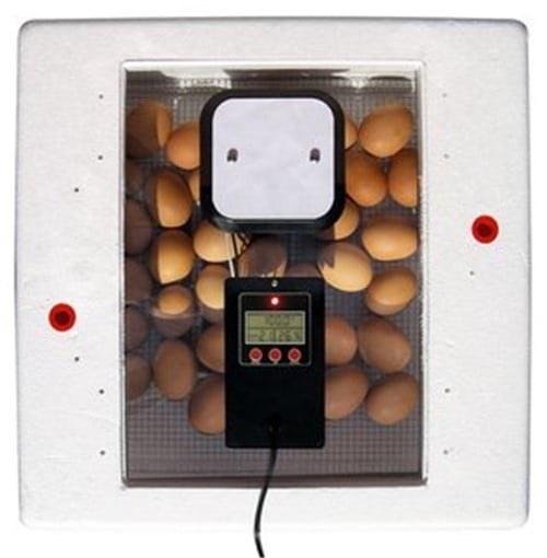 miller manufacturing still air incubator miller manufacturing still air incubator