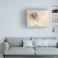 thumbnail image 2 of Trademark Fine Art 'Hellebore Christmas Rose' Canvas Art by Cora Niele, 2 of 4