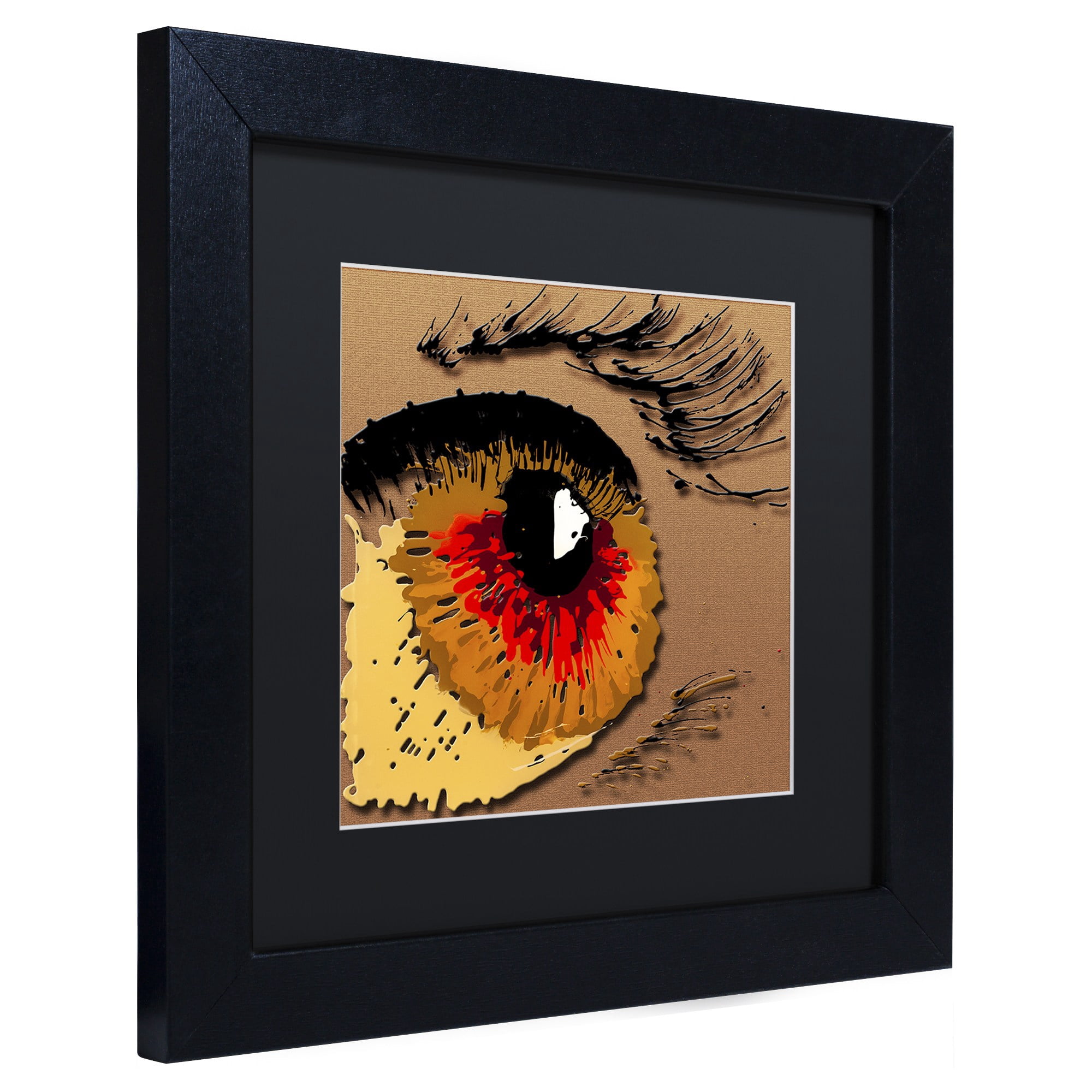 Trademark Fine Art "Eye 1" Canvas Art by Roderick Stevens, Black Matte, Black Frame