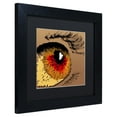 thumbnail image 3 of Trademark Fine Art "Eye 1" Canvas Art by Roderick Stevens, Black Matte, Black Frame, 3 of 5