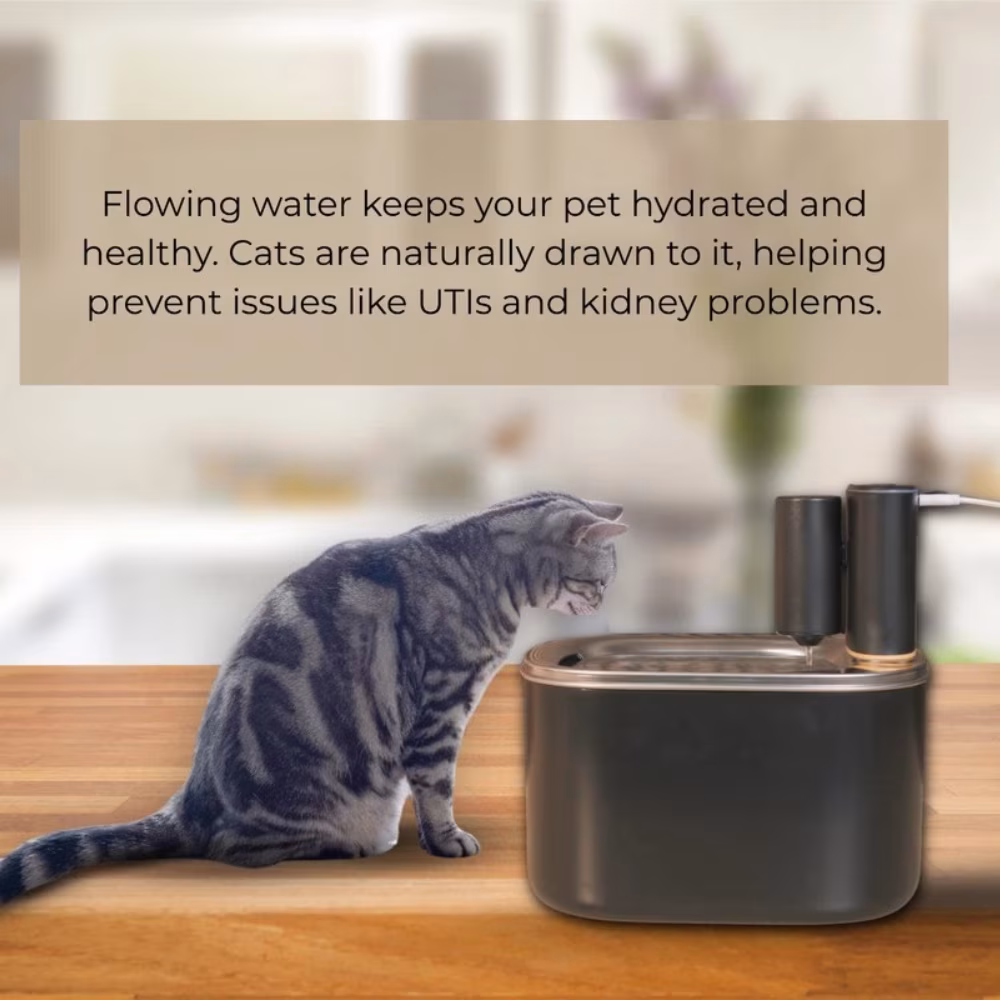 thumbnail image 3 of Penthouse Paws Smart Wireless Water Fountain, 3.5L, App-Controlled, Ultra-Quiet, Motion Sensor, 45-Day Battery Life, 5-Level UV Filtration, Portable Pet Drinking Fountain, for Cat & Dog, Black, 3 of 13