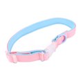 thumbnail image 1 of Dog Collar, Breathable Polyester Color Matching Eye Catching Comfortable Dog Collar With Buckle For Camping For Garden  Blue Match Color,Blue  Match Color,Orange Match Color, 1 of 8