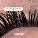 thumbnail image 5 of Extensiones de pestañas CURACORO Laser Flat Lash True Black C, CC, D Curl 7-15 mm, 5 of 9