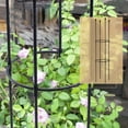 thumbnail image 4 of Plant Support Set Plants Stand Durable Creative Vine Climbing Rack Adjustable Clinging Roses Home Decor Garden Trellis, 4 of 11